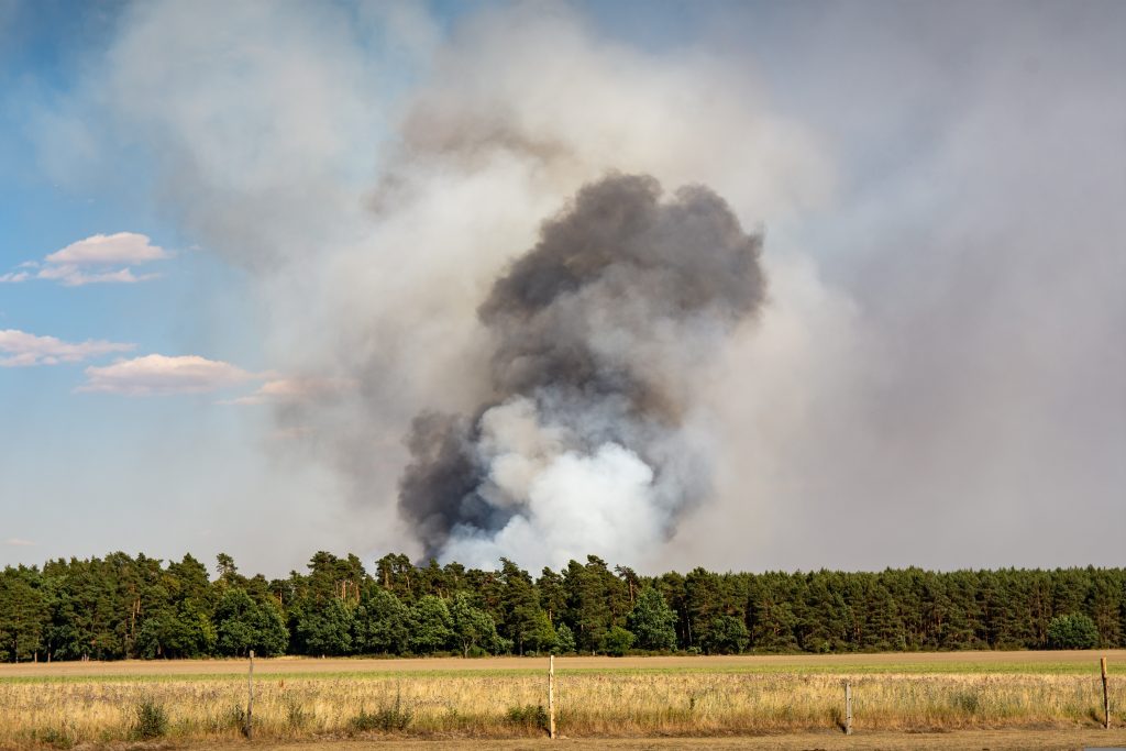 incendies 03
